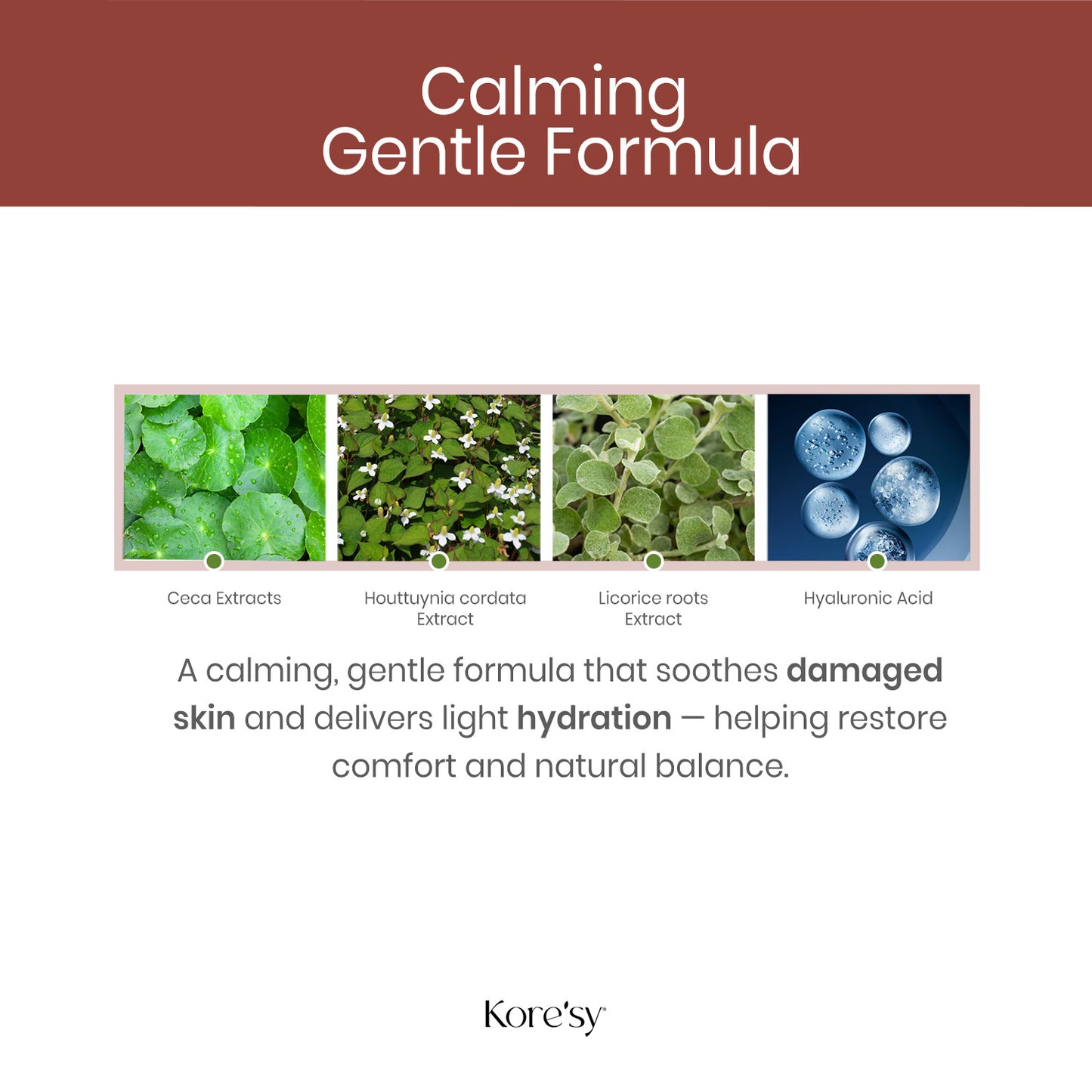 5% Mandelic Acid Toner with Centella Asiatica Extract